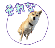 728557730