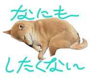 728557738