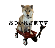 728557741