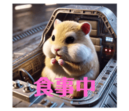 728577219