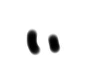 728611681