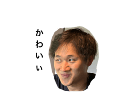 728620280