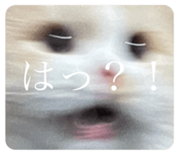 728628704