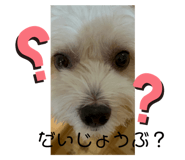 728629795