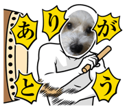 728629809