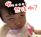 72863994