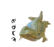 728652958