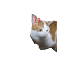 728659913