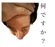 728661836