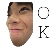 728661838