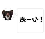 728662490