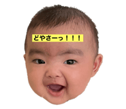 728676697