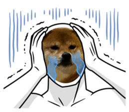 728677037