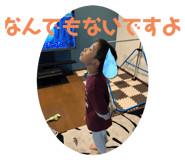 728677451
