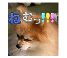728697155