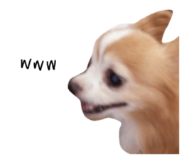 728697538