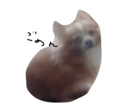 728697541
