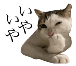 728704883
