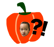 728710428