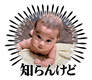 728717258