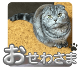 728721747