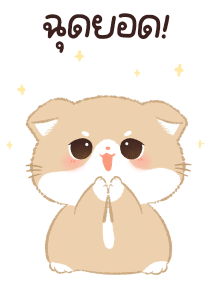 ลายที่ 41