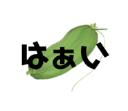 728722529