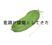 728722530