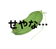 728722531