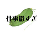 728722532