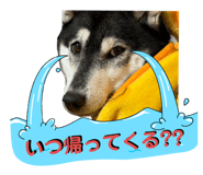 728749762