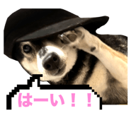 728749765