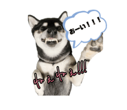 728749775