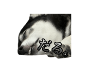 728749781