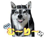728749784