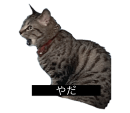 728750665