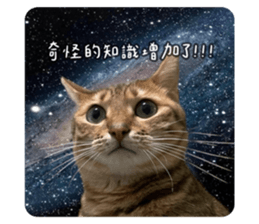 728766336