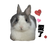 728786842