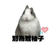 728786857