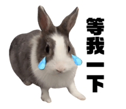728786864