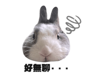 728786865