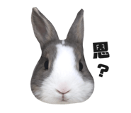 728786866