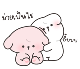 ลายที่ 43