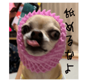 728790392