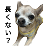 728790397