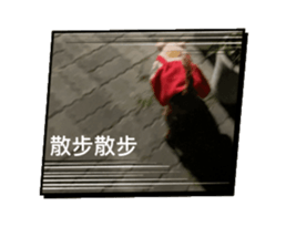 728795459