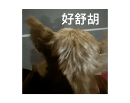 728795460