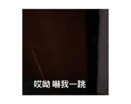 728795469