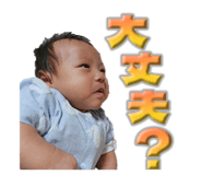 728797875