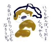 728816494